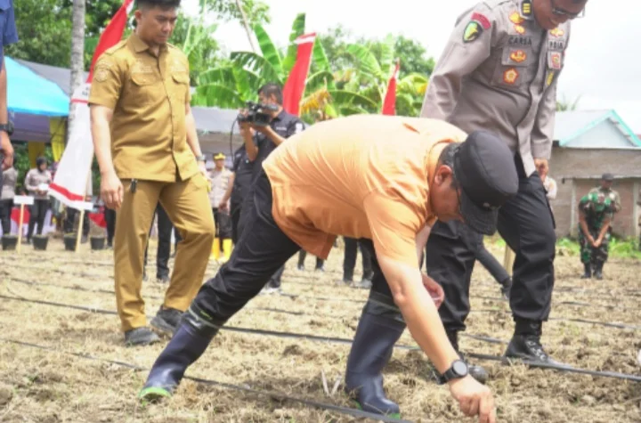Pj Gubernur Sulbar Tanam Jagung