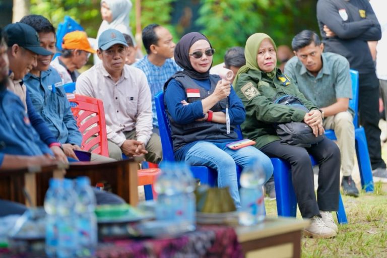 gubernur sulbar polman